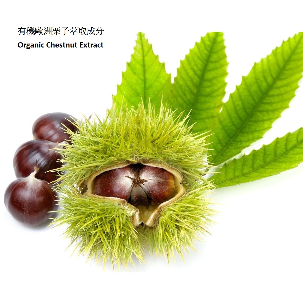 Helen Seward Bio-Nurturing Shampoo 有機頭皮滋養洗髮水 1Lit