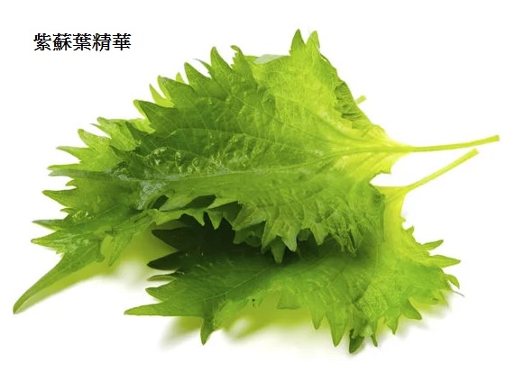 Lebel Viege Shampoo 蔬果精華洗髮露 1Lit Refill