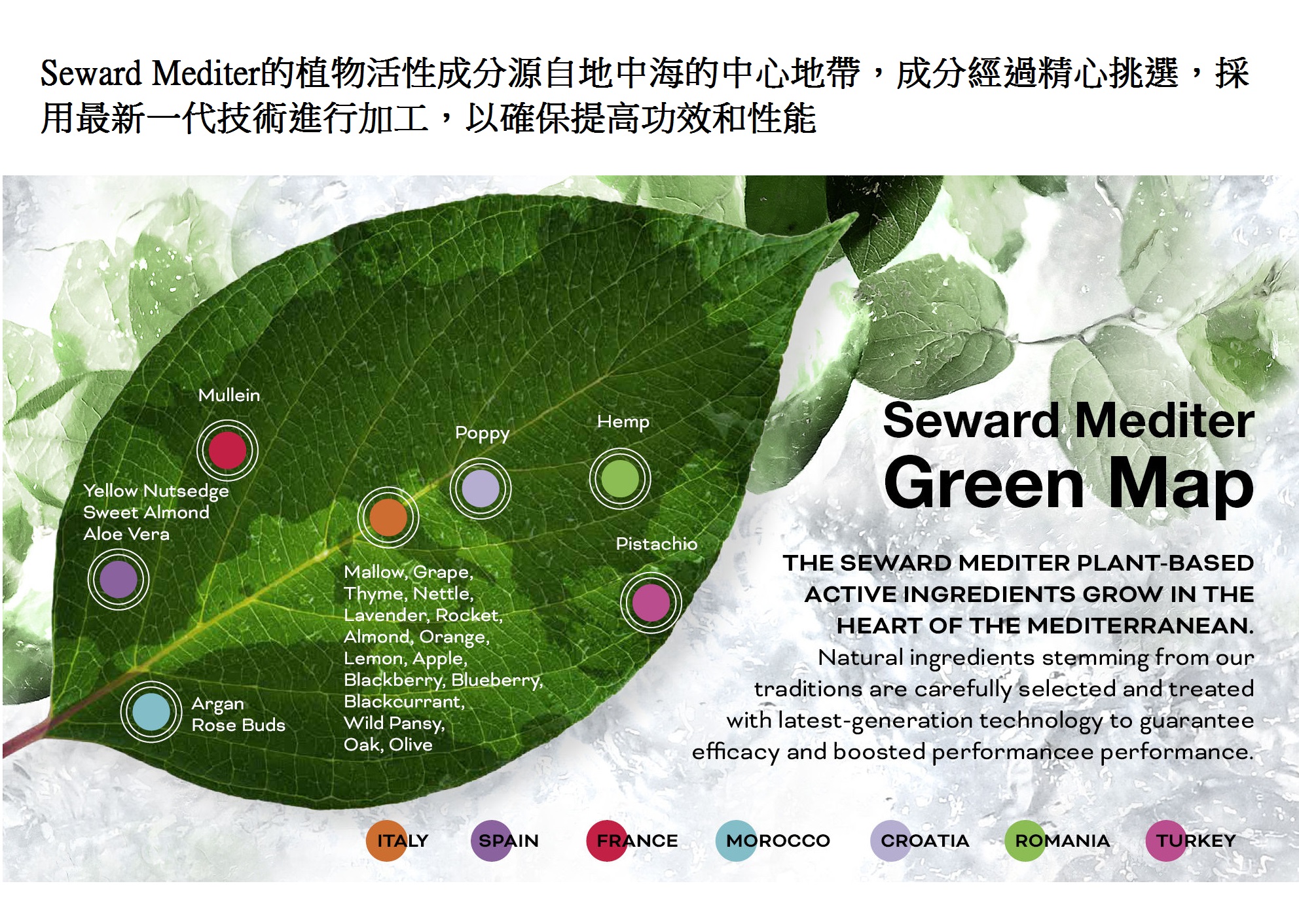 Seward Mediter REFORCE 1T Tonic 頭皮淨化防脫精華液 100ml